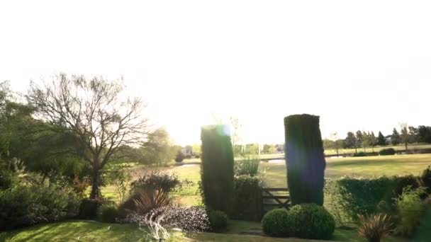 Κηπουρική Ψεκαστήρας Που Συνδέεται Σωλήνα Αρδεύοντας Τον Κήπο Ηλιοβασίλεμα — Αρχείο Βίντεο