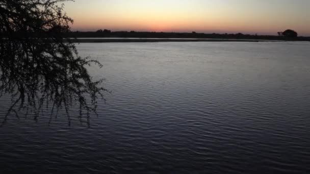 Rio Amazonas Correndo Pela Selva Pôr Sol — Vídeo de Stock