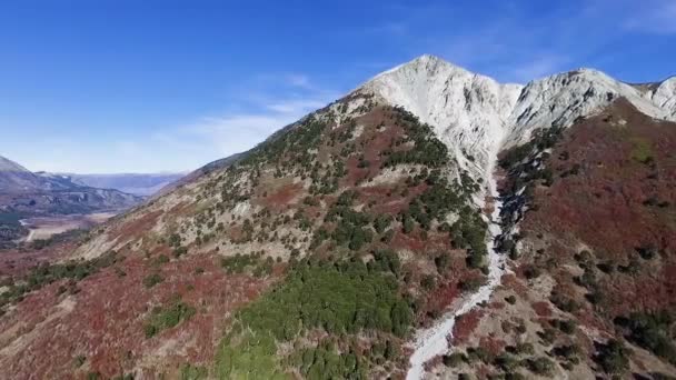 Utsikt Fra Fjellene Impodi Skogen Araucaria Nothofagus Høsten Vakre Røde – stockvideo