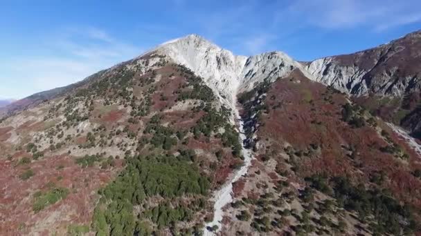 Luftaufnahme Von Impodi Hügel Und Die Araucaria Und Nothofagus Bäume — Stockvideo