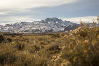 Kırsal alan. Volkan manzarası, karlı dağlar ve sonbaharda altın çayırlar.. 