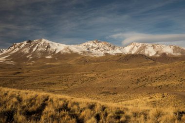 Idyllic manzara. Vadinin manzarası, altın çayır ve karlı tepeleri olan sıradağlar..