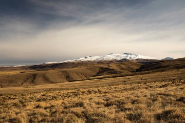 Kırsal alan. Altın vadi. Arkasında dağlar olan sarı çayır manzarası.