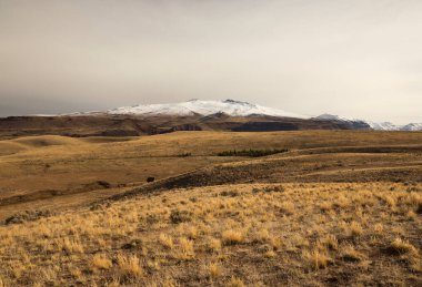Kırsal alan. Altın vadi. Arkasında dağlar olan sarı çayır manzarası.