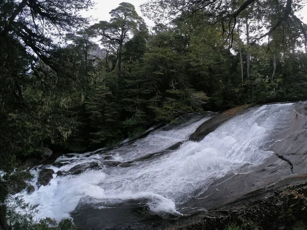Beyaz Şelale Kayalık Dere Ormanda Yokuş Aşağı Akıyor — Stok fotoğraf