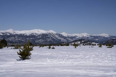 Dağlarda kış. Güneşli bir günde kar tarlası ve dağların manzarası. 