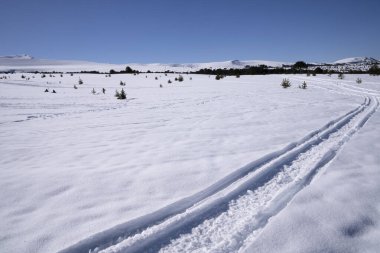 Kışın, dağdaki kar tarlasında kar motosikleti izleri görülüyor..