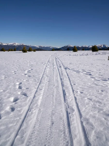 Recreation. View of snowmobile tracks in the mountain snowfield, in winter.