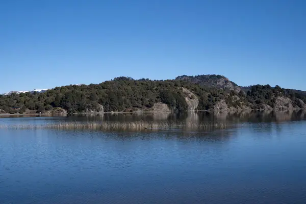 Вид Озеро Лес Солнечный Летний День Окружающая Среда Темно Синее — стоковое фото