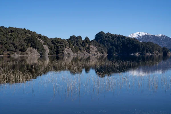 大自然的美丽 位于阿根廷巴塔哥尼亚Pehuenia别墅的Batea Mahuida火山 安第斯山脉 森林和氧化铝湖景 冰川中美丽的风景和蓝天的映照 — 图库照片