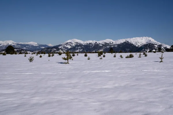 Winter Den Bergen Blick Auf Das Schneefeld Und Die Berge — Stockfoto