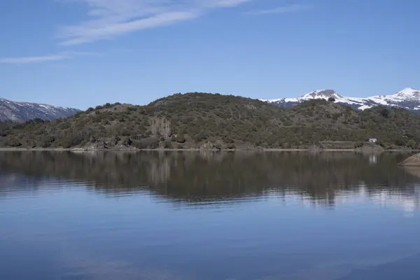 Widok Panoramiczny Spokojne Jezioro Las Słoneczny Letni Dzień Piękne Środowisko — Zdjęcie stockowe