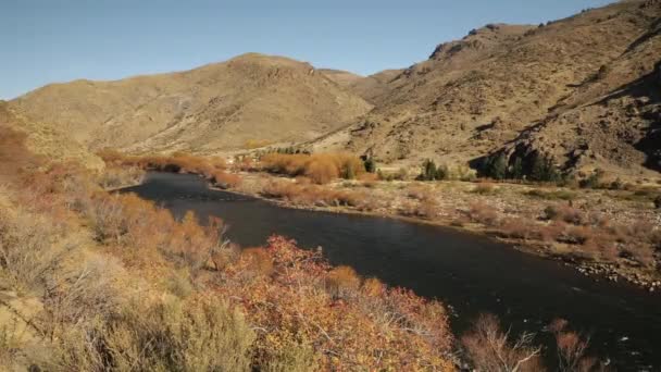 Ländliche Landschaft Blick Auf Den Fluss Der Durch Gelbes Grasland — Stockvideo