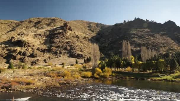 イディエリックな風景 田園風景 秋の谷や丘を流れる川の景色 — ストック動画