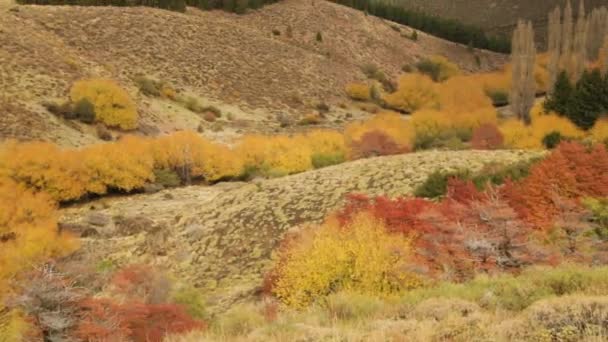 Αγροτικό Τοπίο Φθινοπωρινά Χρώματα Μέρος Του Κίτρινου Λειμώνα Κοιλάδα Και — Αρχείο Βίντεο