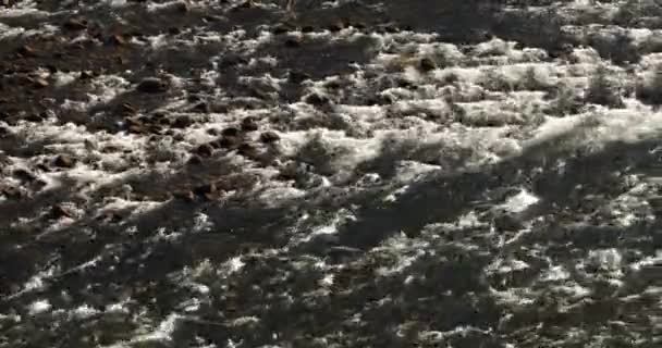 Vista Água Que Flui Longo Rio — Vídeo de Stock