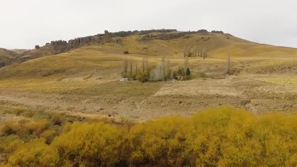 Ідилічний Сільський Пейзаж Вид Повітря Ранчо Золотій Долині Вид Ферму — стокове відео
