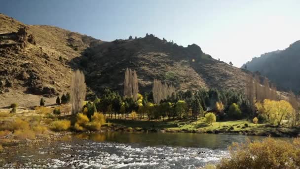 イディエリックな風景 田園風景 秋の谷や丘を流れる川の景色 — ストック動画