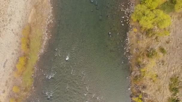 秋に黄色いフィールドと谷を横切って流れる川のオーバーヘッドの空中ビュー 氷河の水流以外の汚れた道の様子 — ストック動画