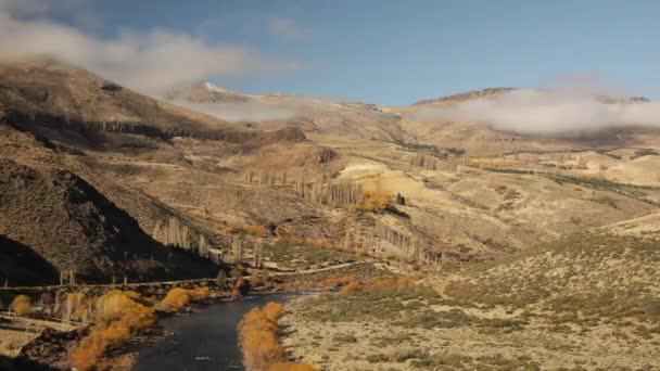 Сельский Пейзаж Осенние Цвета Природе Вид Реку Протекающую Желтой Равнине — стоковое видео