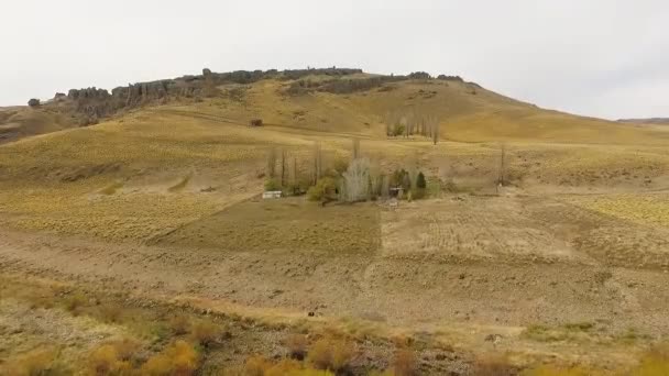 田舎のイディラック風景 ゴールデンバレーの牧場の空想的な眺め 秋の農家 黄色い牧草地を見る — ストック動画