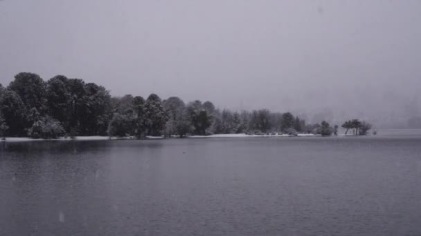 冬季风景 俯瞰飘落在海岸 森林和湖面的雪花 — 图库视频影像