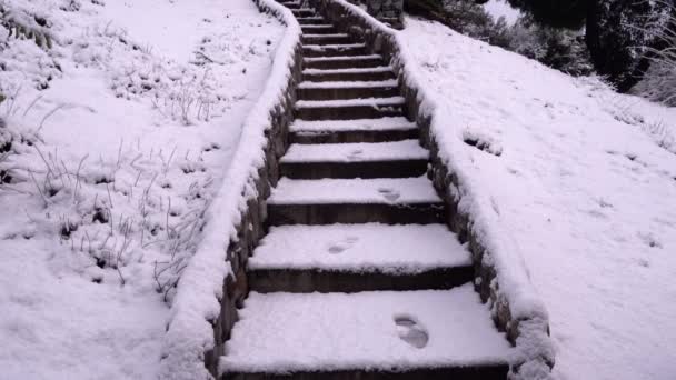 Blick Auf Die Gartentreppe Winter Fußspuren Den Stufen — Stockvideo