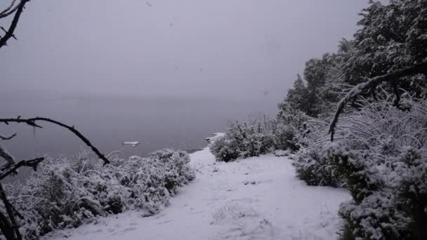 冬の風景 湖の上に降る雪片の様子 激しい霧が地平線を吹き飛ばす — ストック動画