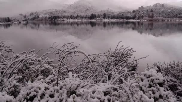 冬の落ち着いた湖 山の魔法の景色 水面の美しい風景の反射 雪が植物を覆っている — ストック動画