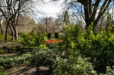 Açık havada. Madrid Kraliyet Botanik Bahçesi manzarası. Yeşil bitkiler ve ağaçlarla dolu güzel bir park.. 