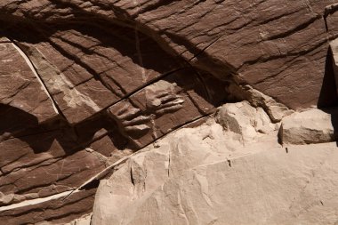 Tarih öncesi kalıntılar. Kahverengi kaya duvarındaki eski dinozor fosillerinin yakın görüntüsü..