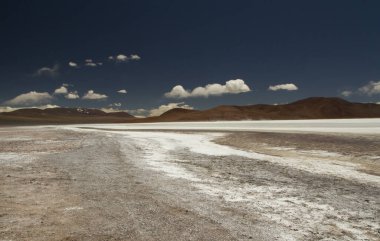 Kordillerada doğal tuz tarlaları. La Rioja, Arjantin 'deki beyaz tuz tarlası ve kahverengi dağların manzarası.