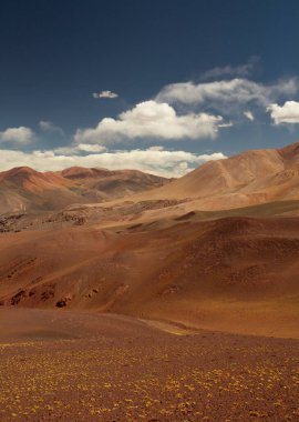 And Dağları kordillerasında eşsiz kurak bir manzara. Laguna Brava, La Rioja, Arjantin 'deki güzel kahverengi arazi, sarı otlar, vadi ve renkli dağlar..