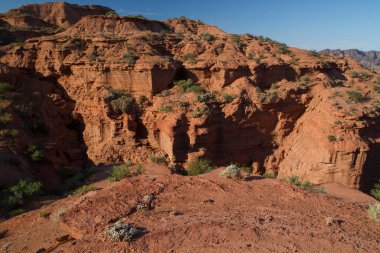 Kırmızı kanyon. Kurak çöl manzarası, kumtaşı ve kaya oluşumları.