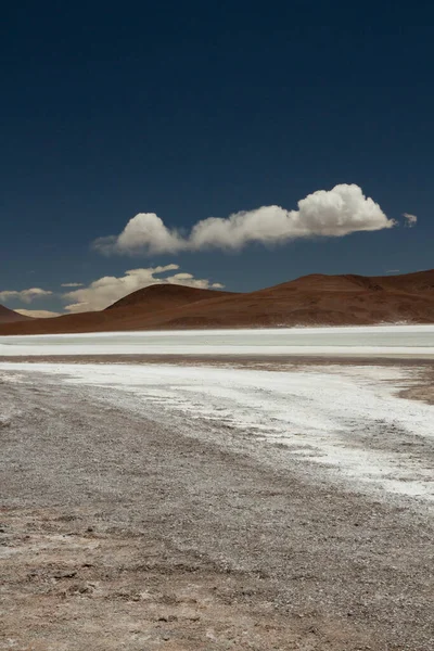 天然盐田在丛林中 阿根廷拉里奥哈白盐田和褐山全景 — 图库照片