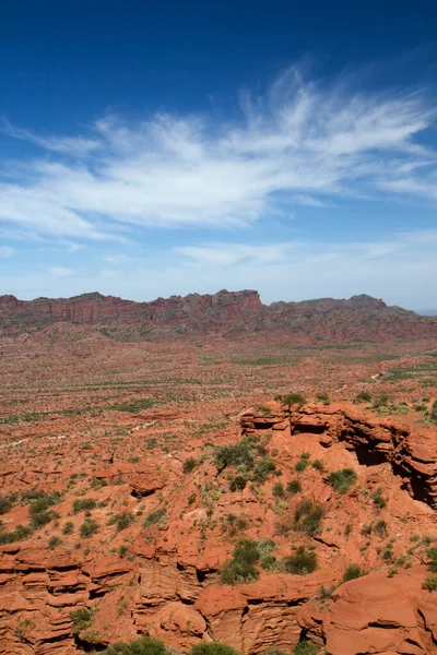 Red Desert View Arid Landscape Desert Flora Canyon Rocky Mountains — Stock Photo, Image