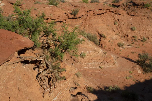 지질학적이지 오렌지 사암과 텍스처와 절벽과 사막의 — 스톡 사진