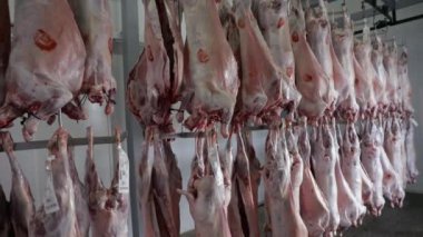 Et endüstrisi. Katledilmiş kuzu cesetlerini görmek, soğutucu deposunda asılı, satılmaya hazır..