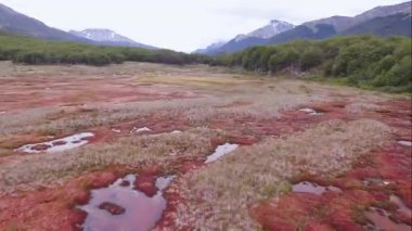 And Dağları, Ushuaia, Tierra del Fuego, Patagonya Arjantin 'deki doğal turba tarlalarının ve bataklığın havadan görünüşü..