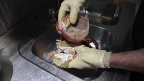 부엌에서 스파이더 산톨라 고기와 껍질을 레스토랑 요리사 — 비디오