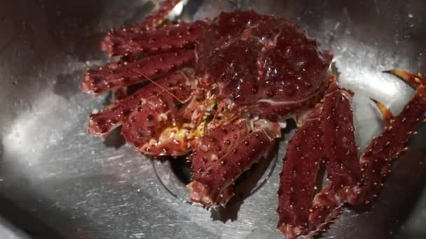 鲜活的蟹王在餐厅厨房水池里 — 图库视频影像