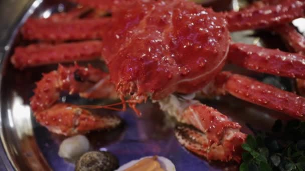 Gastronomie Gastronomique Vue Rapprochée Une Présentation Plaque Crabe Géant Roi — Video
