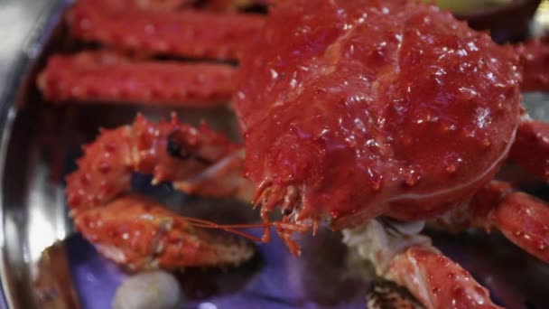 Gastronomia Gourmet Vista Perto Uma Apresentação Placa Caranguejo Aranha Gigante — Vídeo de Stock