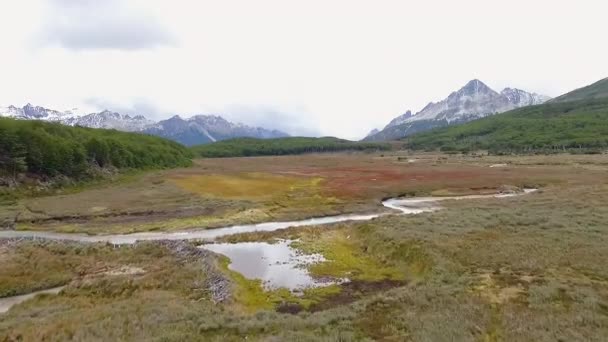 Luftaufnahme Des Baches Der Durch Gelbes Grasland Und Rotes Torfmoor — Stockvideo