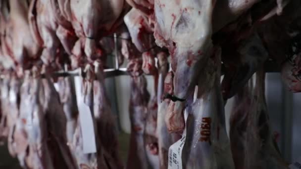 冷蔵庫の部屋でぶら下がっている生肉と新鮮な肉 — ストック動画
