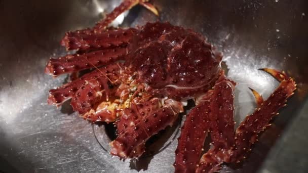 Alive King Crab Στο Νεροχύτη Κουζίνα Εστιατόριο — Αρχείο Βίντεο