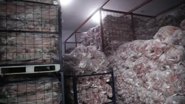 食品加工業界について 新鮮な屠殺された羊の死体は冷蔵庫の部屋に貯えられ 包まれ 販売の準備ができています — ストック動画
