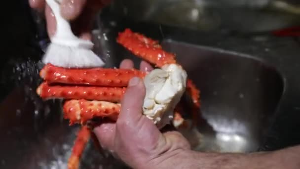 Σεφ Καθαρισμού Γίγαντας King Crab Πόδια Ένα Πινέλο Στην Κουζίνα — Αρχείο Βίντεο