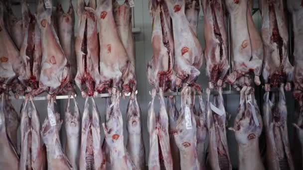 Βιομηχανία Κρέατος Άποψη Σφαγμένων Πτωμάτων Αρνιού Που Κρέμονται Στο Ψυγείο — Αρχείο Βίντεο