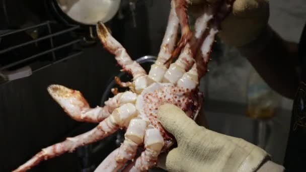 Σεφ Κρατώντας Ζωντανό Τον Spider Crab Λιθόδης Σαντόλα Στην Κουζίνα — Αρχείο Βίντεο